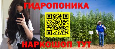 бошки Кинель