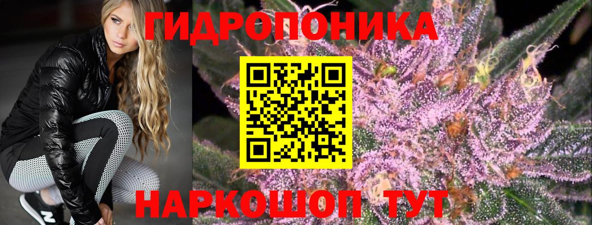 Конопля планчик  Каннабис Amnesia  Когалым  Вход с VPN  Канабис конопля  МАРИХУАНА White Widow 
